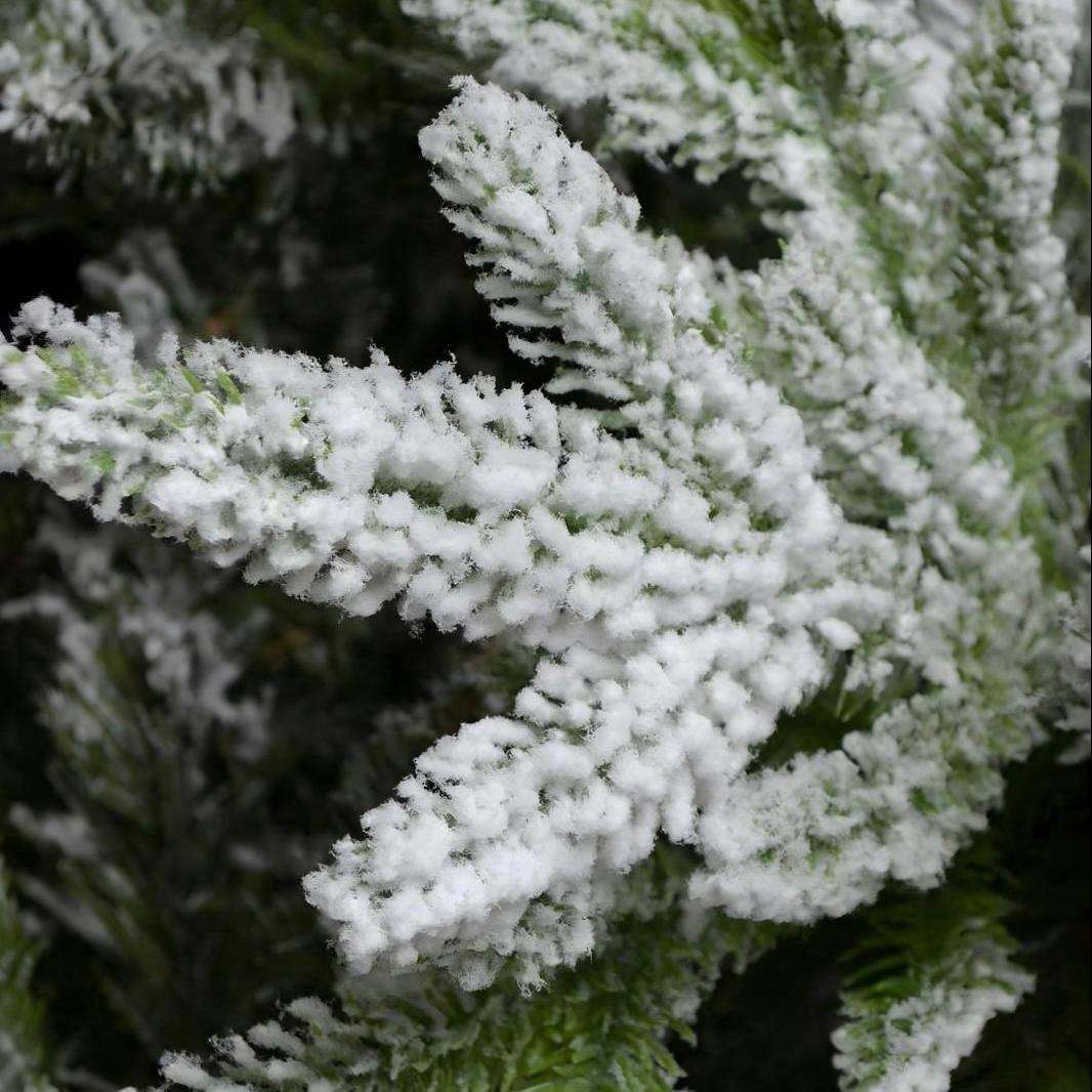 snow flock